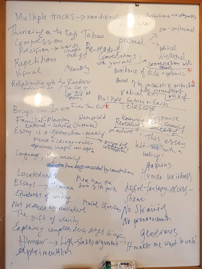 maria-tumarkin-whiteboard-19